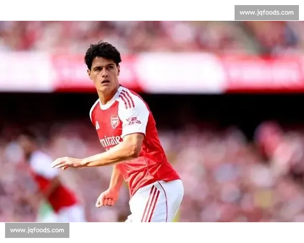 阿森纳敲定铁腰！内尔高加盟补强中场，经验与领导力成争冠关键