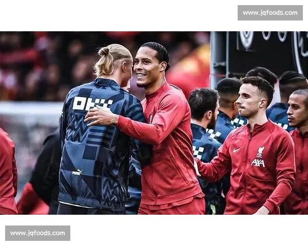 萨尔立志成范戴克！专家：他更像科纳特式的暴力美学